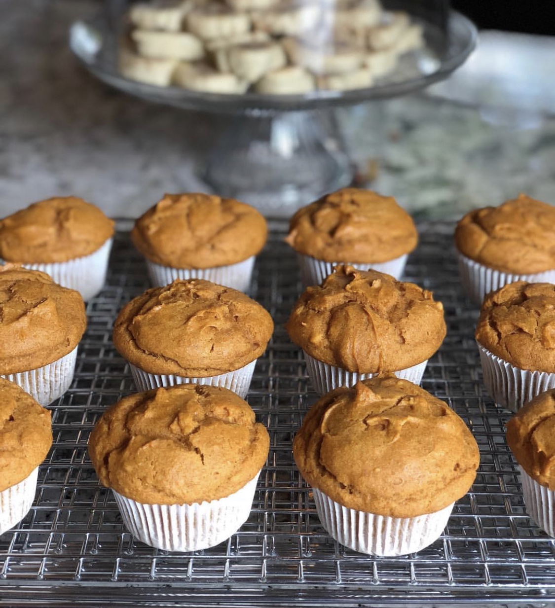 Gluten Free Pumpkin Muffins - Hoffy's Heart Productions